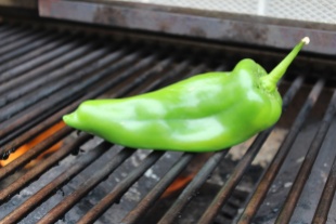 fresh-chile-on-grill
